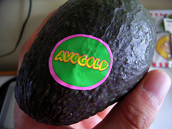 AVOGOLD